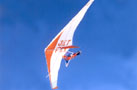 Jetfex