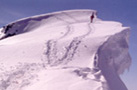 Pitz Pal&uuml;